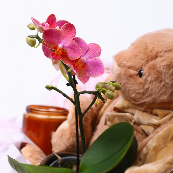 Композиция с мармеладом