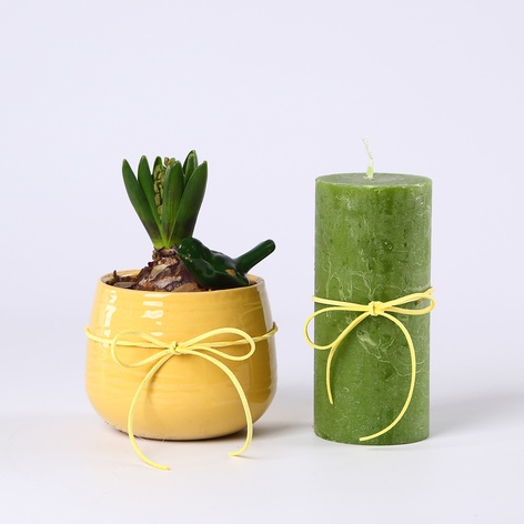 Подарочный набор "Живой минимализм"