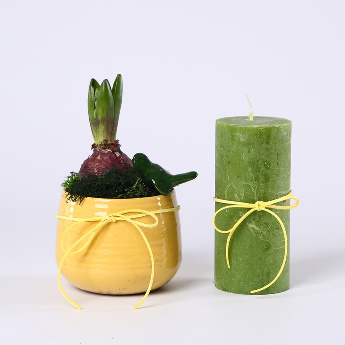 Подарочный набор "Живой минимализм"