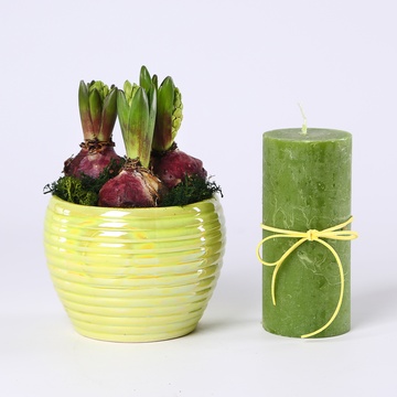 Подарочный набор "Свет гиацинта"