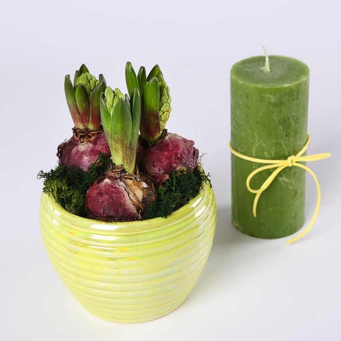 Подарочный набор "Свет гиацинта"