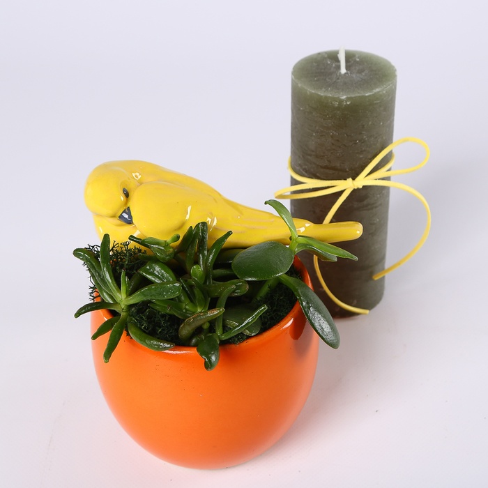 Подарочный набор "Крылья уюта"