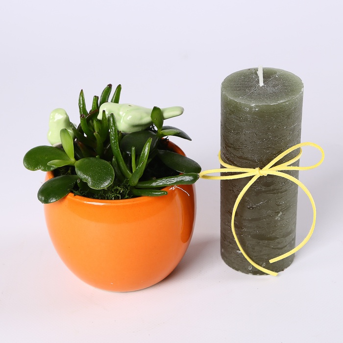 Подарочный набор "Птички счастья"