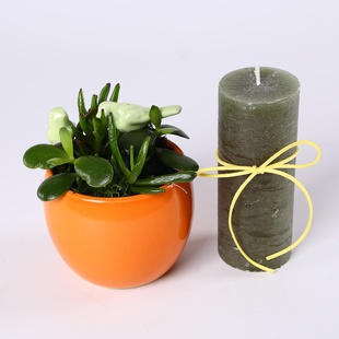 Подарочный набор "Птички счастья"