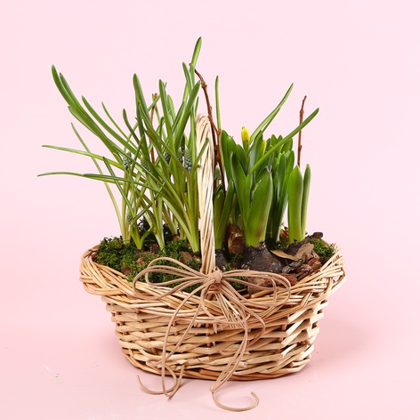 Квіти у кошику "Лісова галявина"