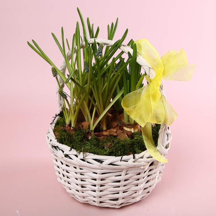 Цветы в корзине "Лесная поляна"