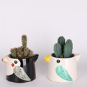 Кактус в кашпо микс