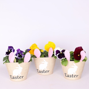 Сезонні квіти в кашпо, S