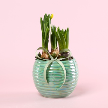 Сезонні квіти в кашпо, М