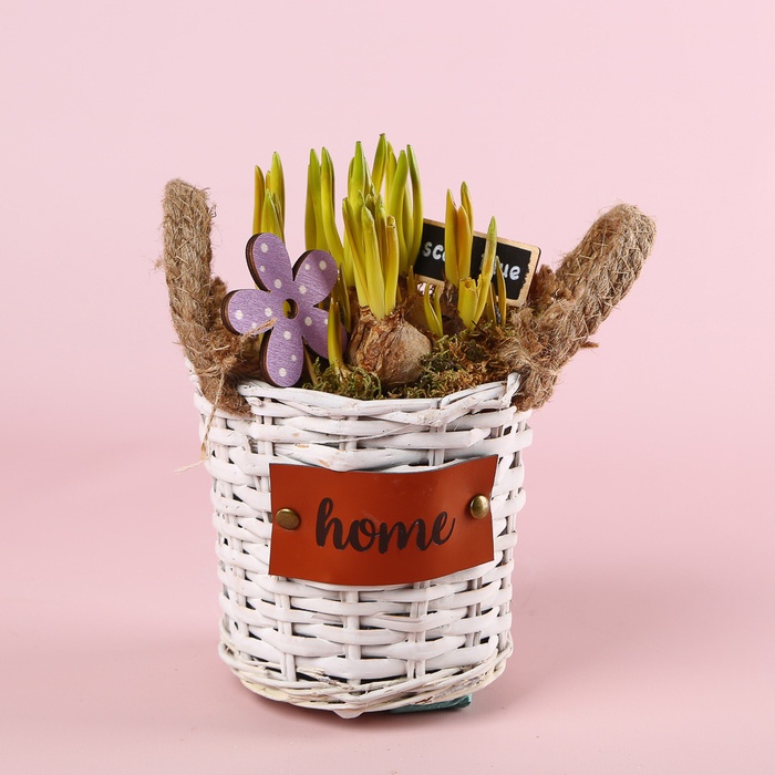 Мускарі у кошику