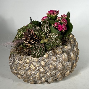 Высадка из растений в кашпо "Шишка"