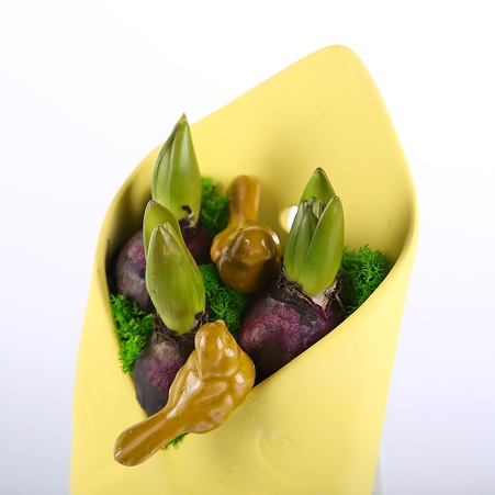 Гиацинт в конверте