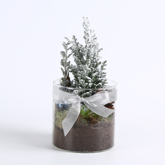 Композиція у вазі "Морозне сяйво"