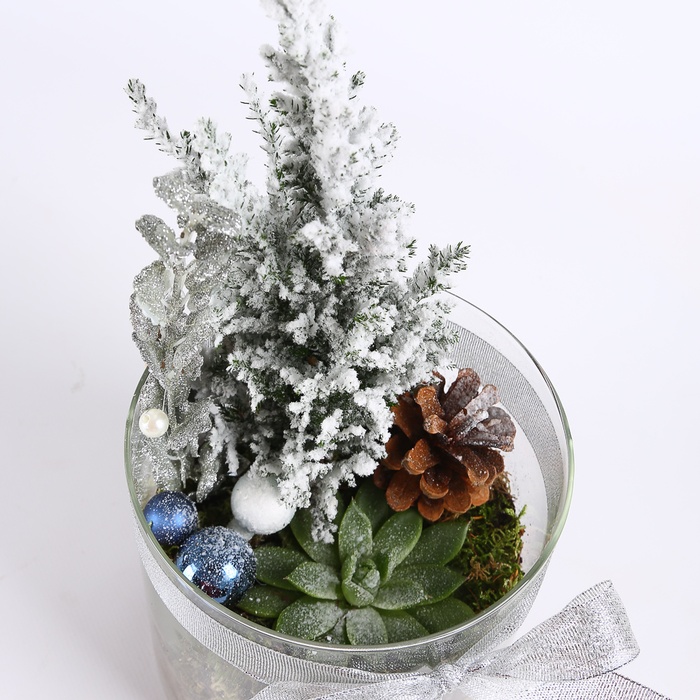 Композиція у вазі "Морозне сяйво"