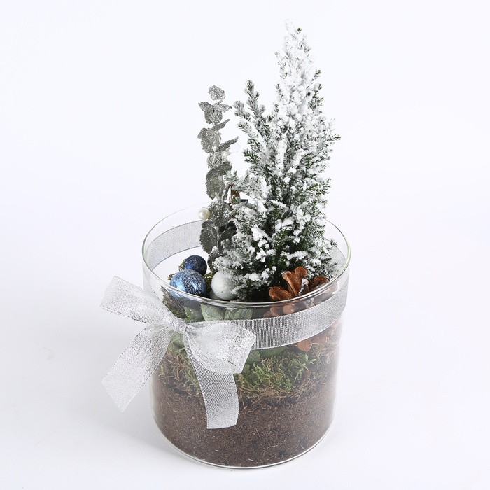 Композиція у вазі "Морозне сяйво"