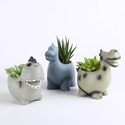 Суккулент микс в кашпо, S