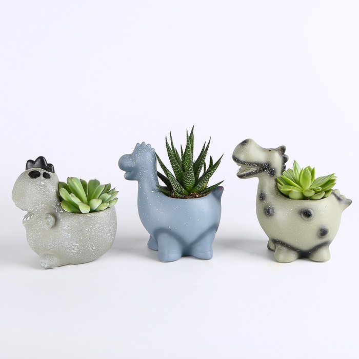 Суккулент микс в кашпо, S