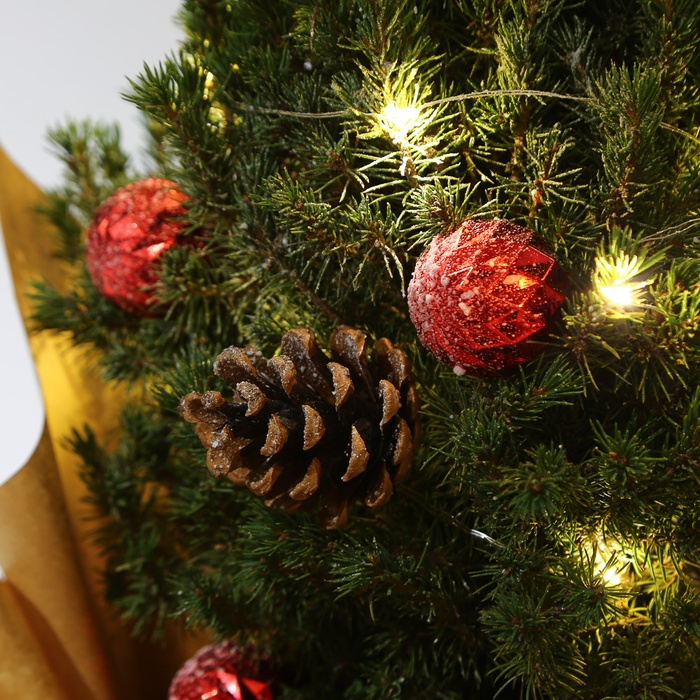 Ель коника в горшке с гирляндой