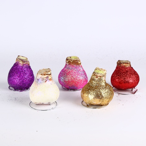 Амариллис в воске