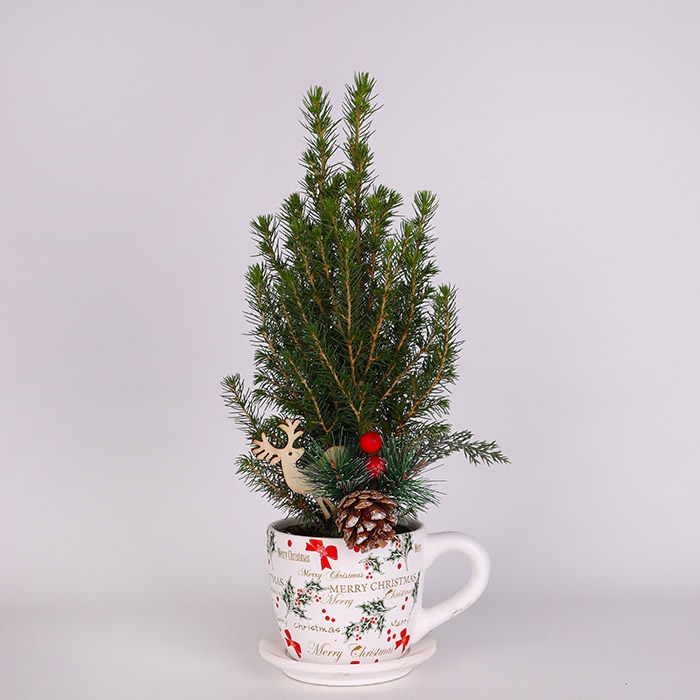 Композиция в новогодней чашке