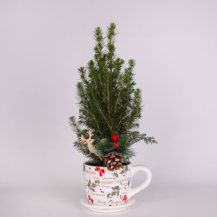 Композиция в новогодней чашке