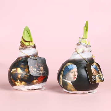 Амариллис в воске принт