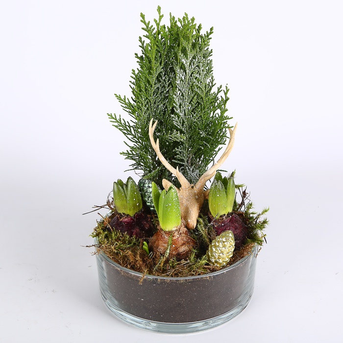 Композиция новогодняя с гиацинтом