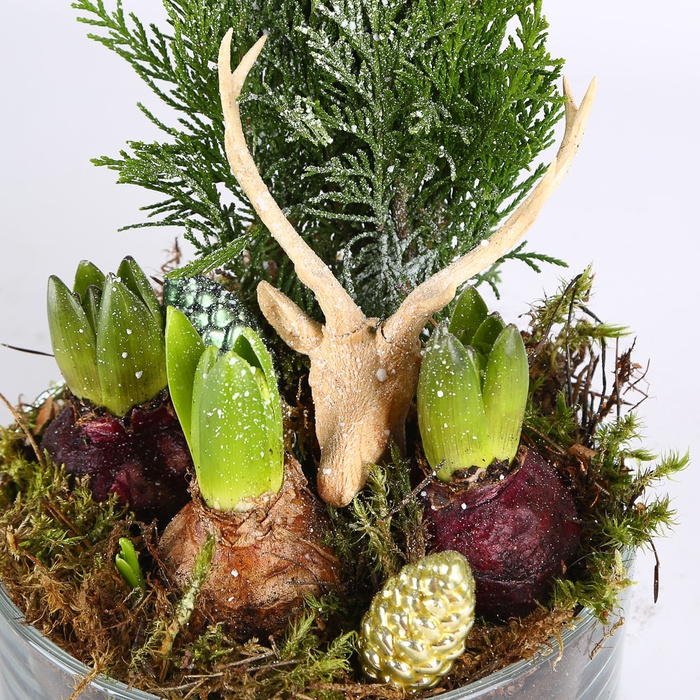 Композиция новогодняя с гиацинтом