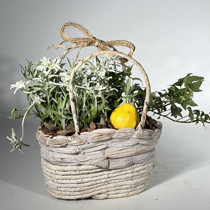 Композиція з рослинами "Гірська казка"