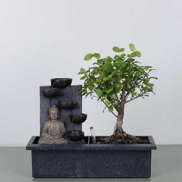 Бонсай у кашпо з водоспадом