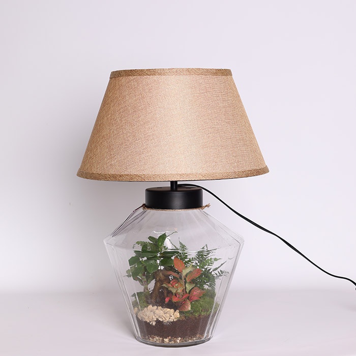 Композиция террариум "Зеленый оазис"