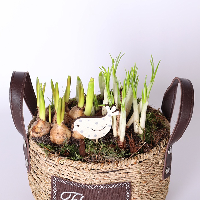 Весенняя композиция в корзинке