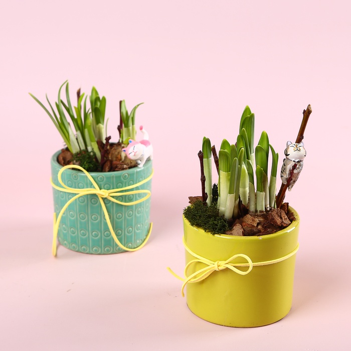 Композиція "Сонячне вітання"