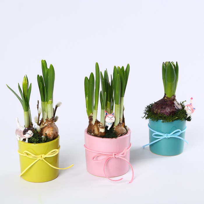 Композиция "Солнечное поздравление"