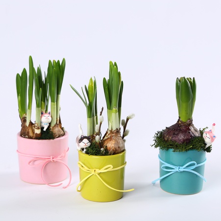 Композиція "Сонячне вітання"