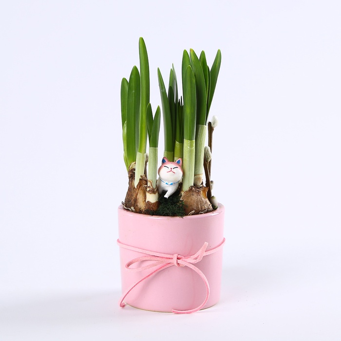 Композиция "Солнечное поздравление"