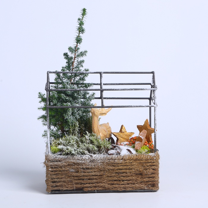 Композиция в корзине "Зимнее очарование"