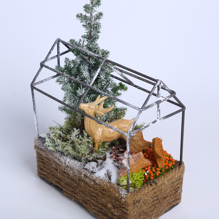 Композиция в корзине "Зимнее очарование"