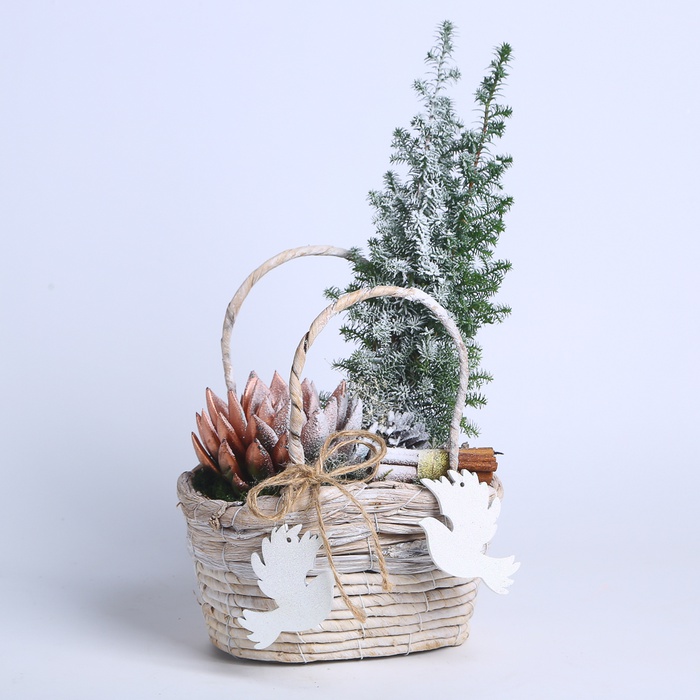 Композиция в корзине "Зимнее очарование"