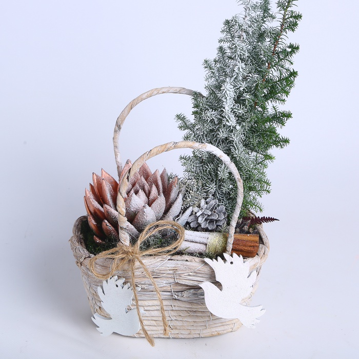Композиция в корзине "Зимнее очарование"