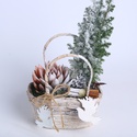 Композиция в корзине "Зимнее очарование"