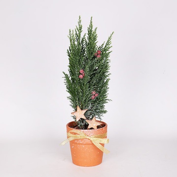 Композиція в кашпо "Зимова магія"