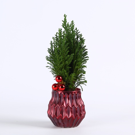 Композиція "Яскрава зима"