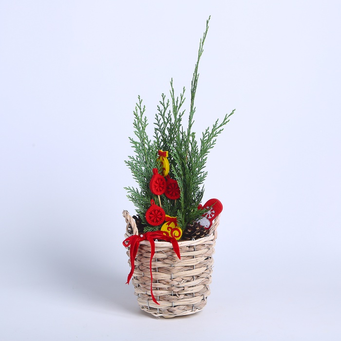 Композиція в кошику "Яскрава зима"