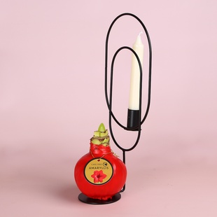 Амариллис новогодний