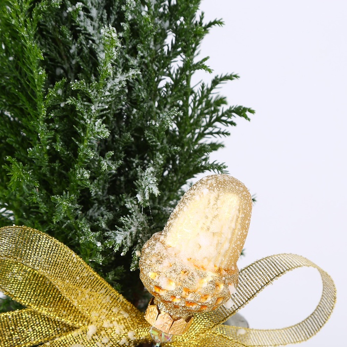 Композиция в кашпо "Изумрудный шарм"