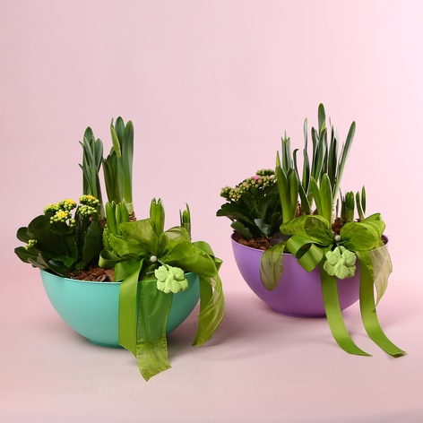 Кошик "Весняне пробудження"