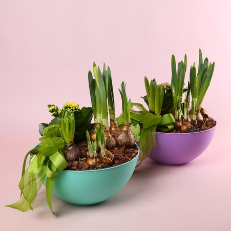 Кошик "Весняне пробудження"