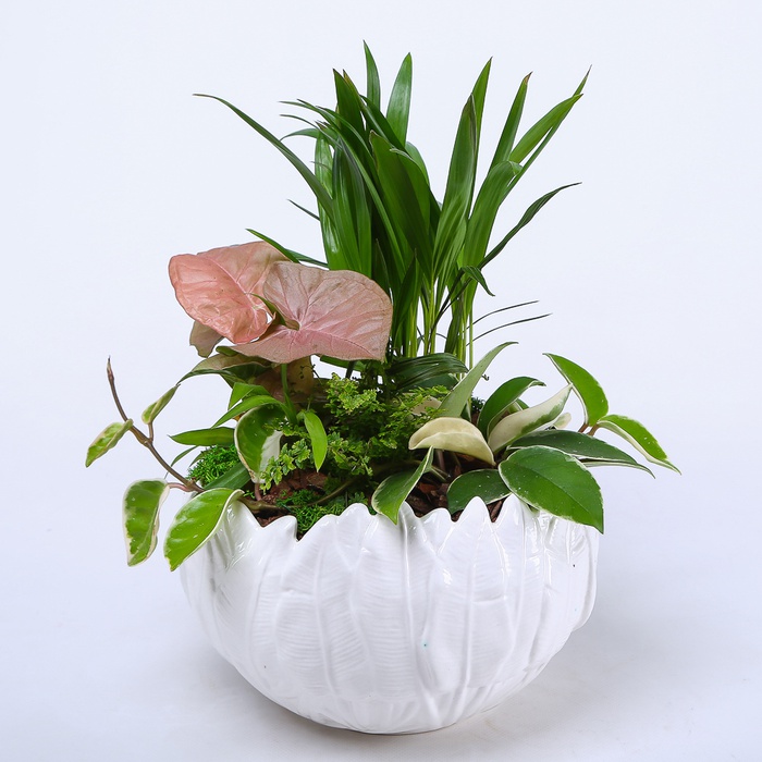 Высадка растений в кашпо "Природная гармония"