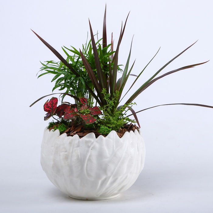 Высадка растений в кашпо "Природная гармония"